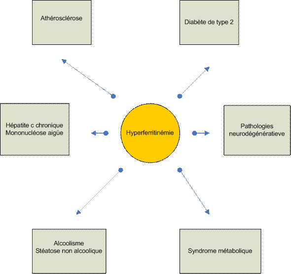 pathologies hyperferritinemie