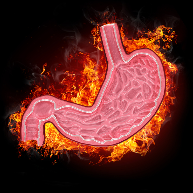 Quel Ion Est Responsable De L'acidité Du Suc Gastrique