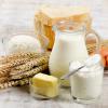 Le lait et ses produits dérivés, yaourts, fromages et laits fermentés, font partie de l'alimentation des hommes et des animaux depuis les temps les plus anciens. Le fromage a été inventé il y a plus de 10000 ans pour des raisons de conservation, les Ga...
