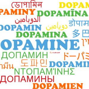 La dopamine et son rôle